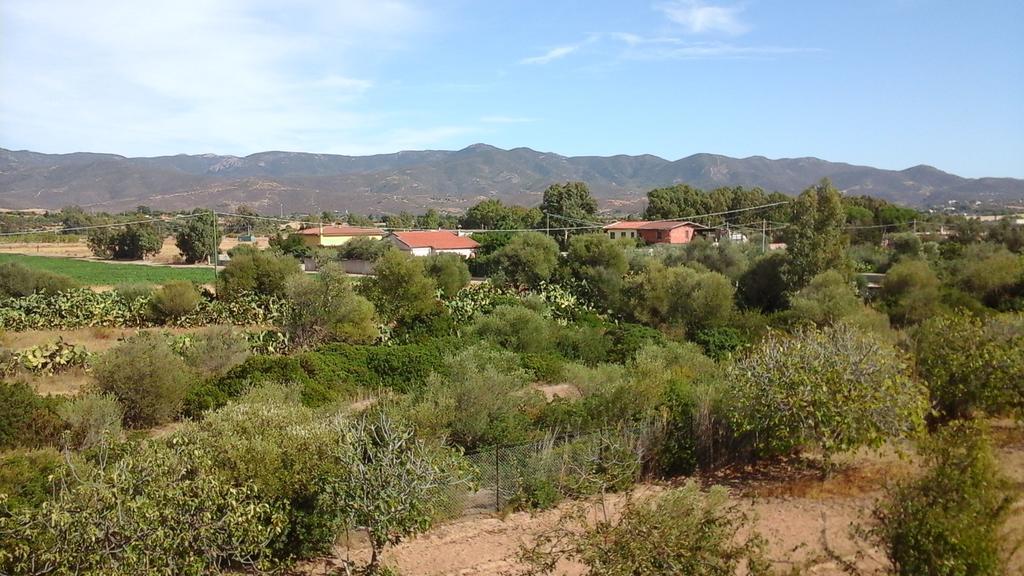 Villa Renzo E Lucia Sant Isidoro  Exteriör bild
